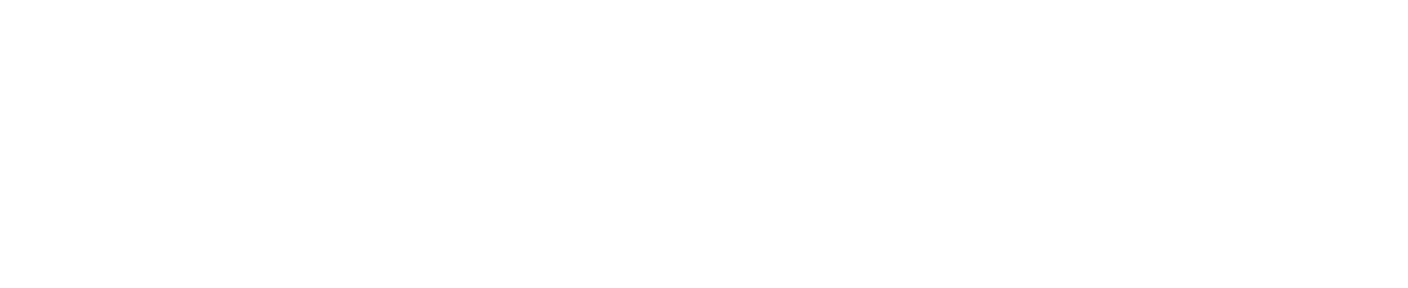 The Dragon Warrior